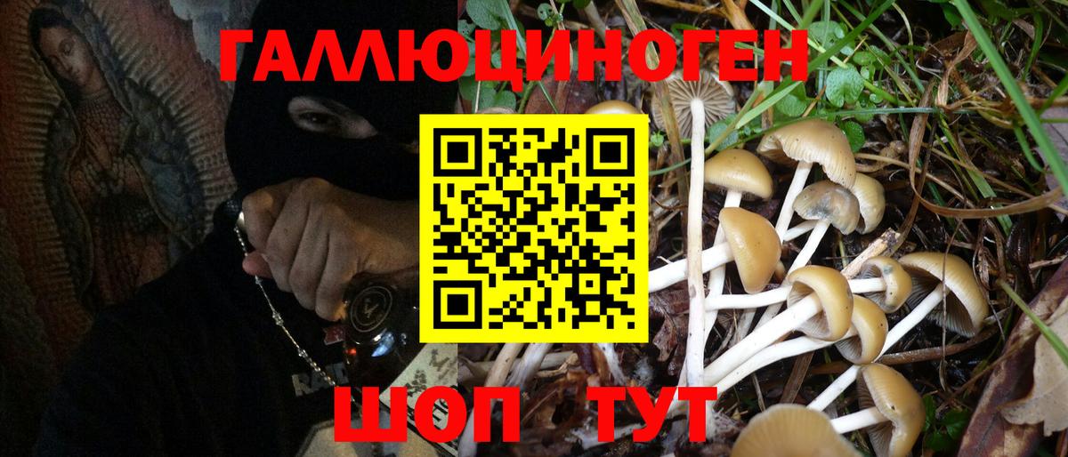 Павлово  Псилоцибиновые грибы MAGIC MUSHROOMS  Галлюциногенные грибы Psilocybe  купить наркотики цена  Вход с VPN 